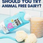 Bored Cow: What Is Animal Free Dairy Milk + Should You Try It?