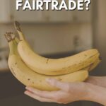 What’s Fairtrade? Is It Sustainable?