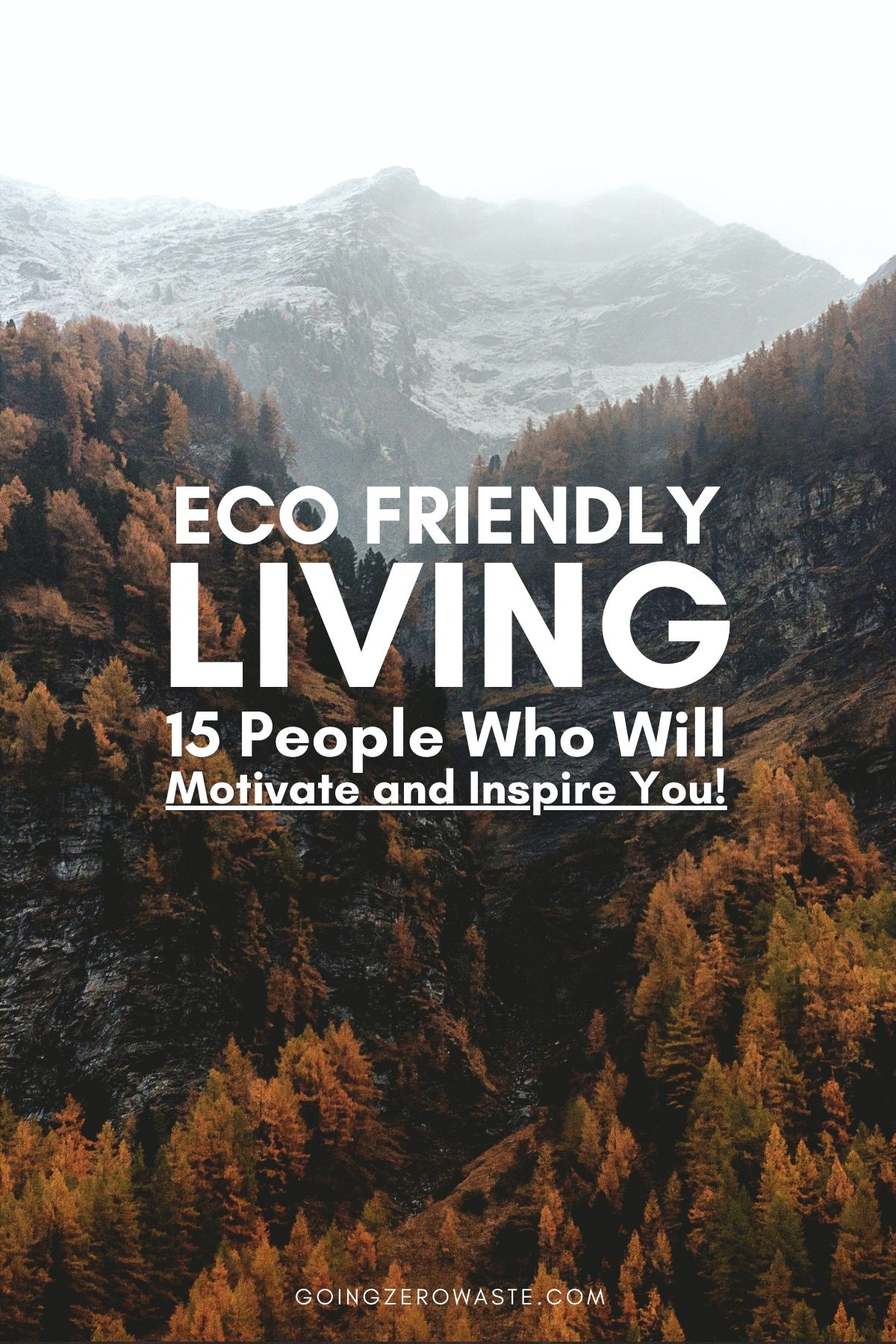 Eco Nice Residing: 15 People Who’ll Encourage and Encourage You