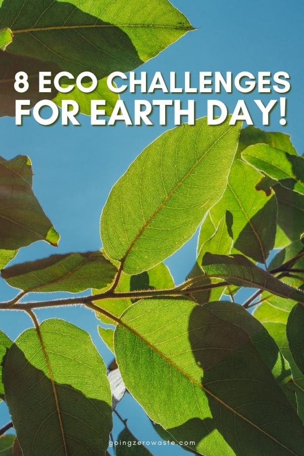 8 Eco Downside Ideas for Earth Day