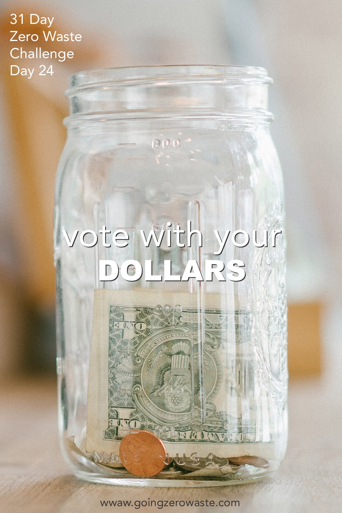 Vote With Your {{Dollars}} – Day 24 of the Zero Waste Downside