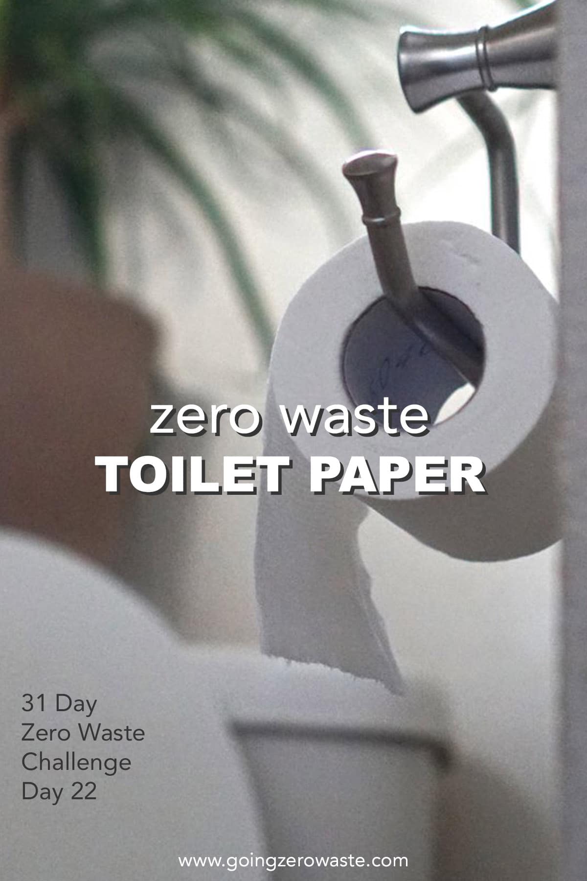 Zero Waste Lavatory Paper – Day 22 of the Zero Waste Downside