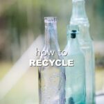 Day 21 of the Zero Waste Drawback: Tips about the best way to Recycle
