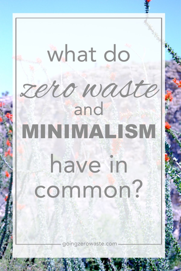 What Do Zero Waste and Minimalism Have in Frequent?